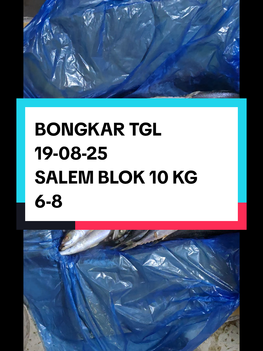 yang lagi viral di tahun ini  #mackharel #salem #blok #fyp #fyp 