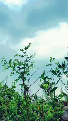 কথা না বললেও মায়া কমে না কমে শুধু সম্পর্কের শব্দগুলো....! ♥️🥰 . . . #fyp #foryou #foryoupagе #tiktobangladesh🇧🇩 #unfrezzmyaccount 