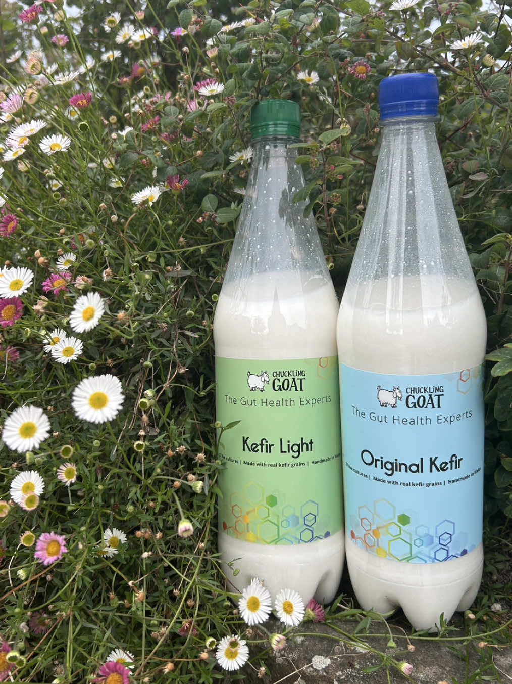 Darling, it’s giving good gut energy 💚🥛 #chucklinggoat #guthealth #healthygut #kefir #probiotics 