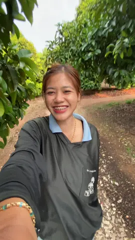 ถ้าฟันเหล็กใจร้าย ให้ย้ายมาหาฟันเหลืองง🤣