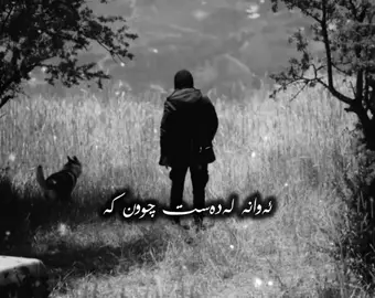 هیچ شتێک نەما خەمی بۆبخۆین🩶👑»#جەبەل_شێخی_چیاکان #ئەکتیڤبن🥀🖤ـہہـ٨ــہ #foryoupage #foryou #following 