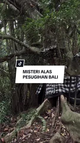 MISTERI ALAS PESUGIHAN BALI #wisatamististv #pesugihan #alaspesugihanbali 
