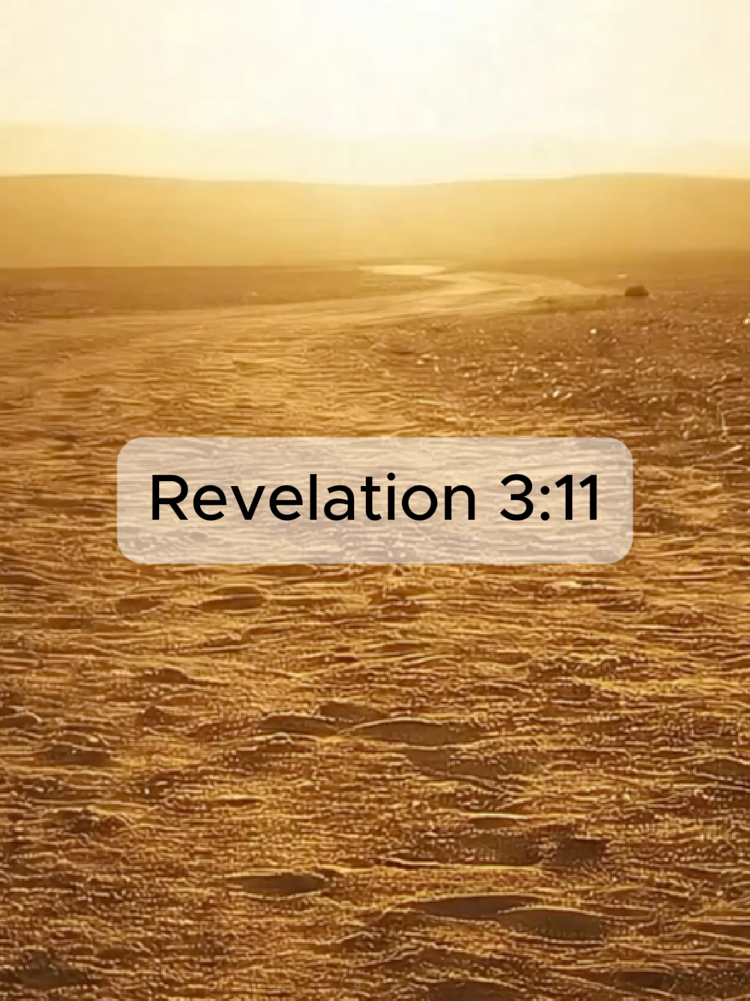 Don’t Lose What God Has Promised You 👑 | Revelation 3:11 This verse is a wake-up call: stay faithful, stand strong, and protect the reward God has prepared for you. #god #bible #bibleverse #scripture #godisgood #biblestudy #bibleverses #christiantiktok #bibletok #christianitytiktok #simplifythescripture