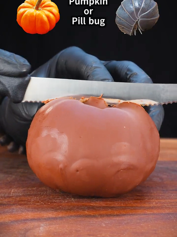 Pumpkin or Pill bug 