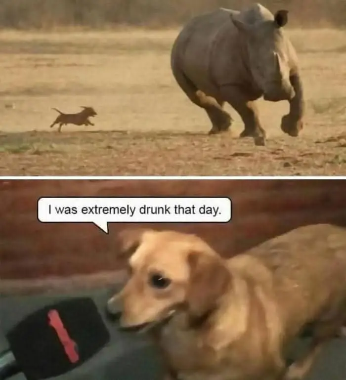 #fypシ゚ 