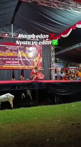 Spesial agustus #teater #kemerdekaan #trenggalek24jam #foryou #17agustus 