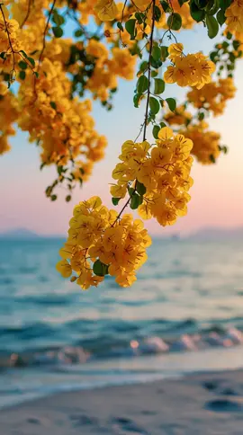 Seaside Blossoms #livewallpaper #aestheticwallpaper #4kwallpaper #phonebackground #wallpaper