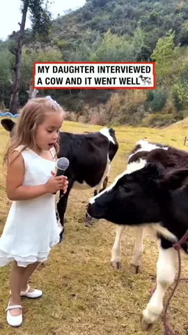 Teaching a cow to moo #cows #cowsoftiktok #scary #mad #funny 