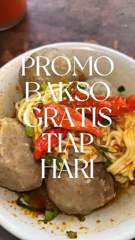 Promo bakso gratis beli satu dapet dua selama bulan agustus yaaa cuman di @Bakso pak majid @Owner_baksoPakMAJID  #baksoviral #baksoviral #kulinerlombok #kulinertiktok #chillinlombok 