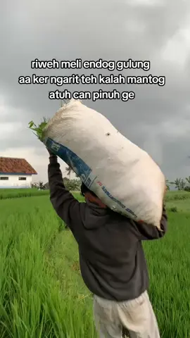 #pdpputrabanjaran #baraya #ebeng #dogar #sadstory 