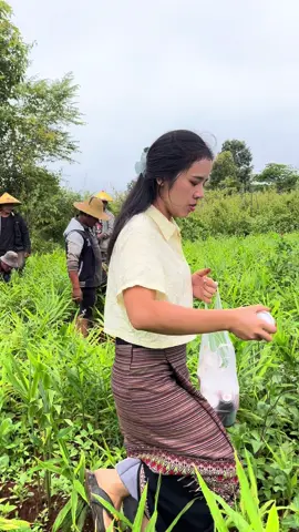 #သၢဝ်တႆးဝၢၼ်ႈၼွၵ်ႈ #သူၼ်ၶိင်မႄႈႁဝ်း#ဝၢၼ်ႈၼွၵ်ႈဢွၼ်ႇႁဝ်း #fyppppppppppppppppppppppp 