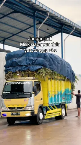 #rh_concept #herekstyle #cantermaniaindonesia #pmcputrabyhileudjagong #fyp 