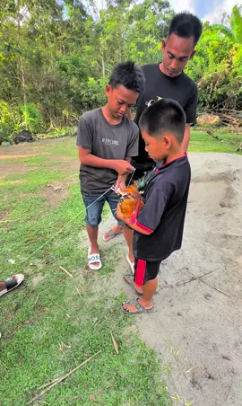 #pammanu🐓 #salamsehoby🐓 #berandamu #fyp #passaungmanuk🐓 