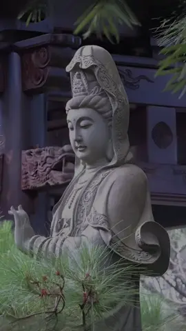 Sống chậm thôi đừng lụy bởi ưu phiền.. #xuhuong #fvpシ #thientuong 