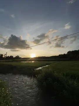 一旦放手，就不要回头，即使后悔，也无法回头。Đã buông tay thì đừng nên nhớ lại, có hối hận cũng không thể quay lại. #xuhuong #fyp #tamtrang #buon #chill 