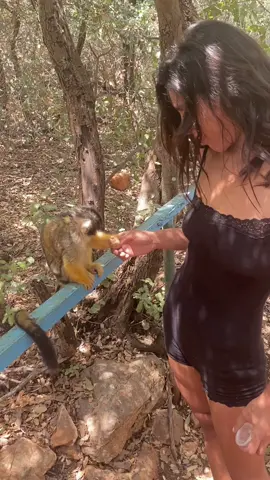 #מרקו #monkeys #פוריו 