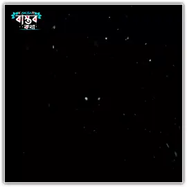 আমি নিজে থেকে খোঁজ না নিলে আমার খোঁজ কেউই নেয় না ! #foryou #foryoupage #lyricsvideo #fyp #bdtiktokofficial @TikTok @TikTok Bangladesh 