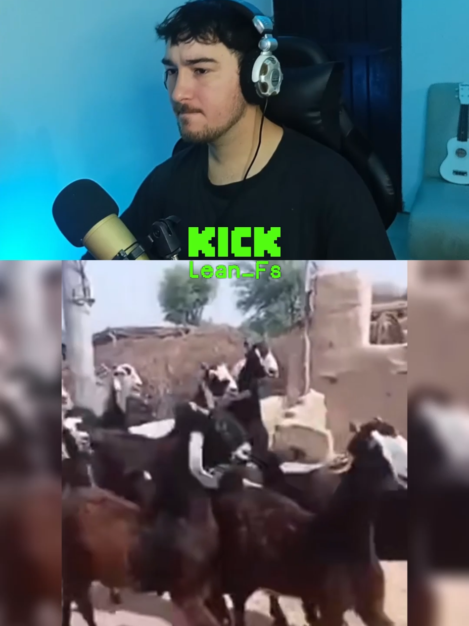 que buen ritmo tienen estos animales 