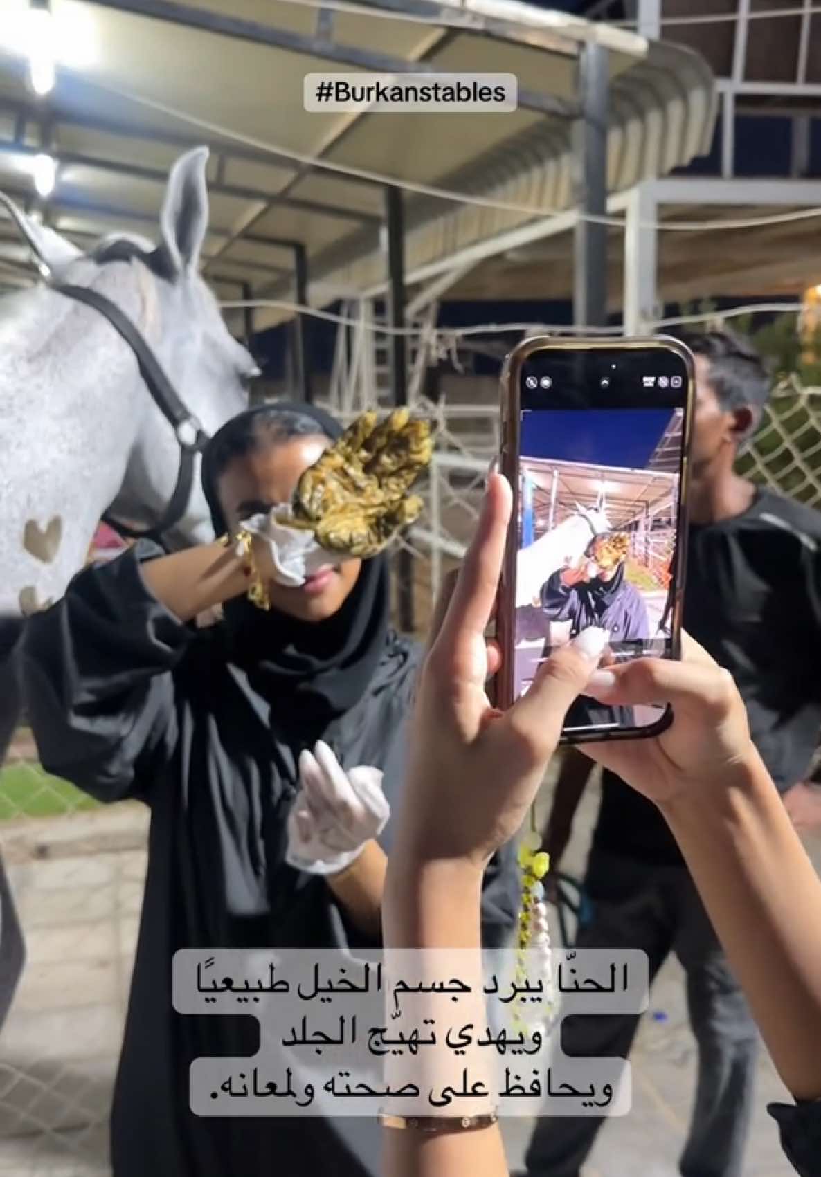 شاركونا في فعاليات اسطبل البركان🐎  .. #خيل_وخياله🐎 #fyp #خيل_عربي #مالي_خلق_احط_هاشتاقات #الشعب_الصيني_ماله_حل😂😂 
