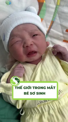 Thế giới xung quanh trong mắt bé sơ sinh sẽ như thế nào? Ba mẹ đã biết chưa #muoitambesaosa #embesosinh #mebimchamcon #yeucon #emberan🐍 
