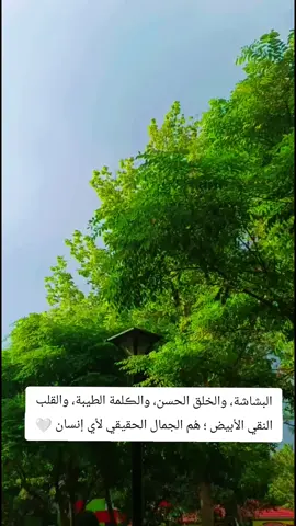 🤍✨#كربلاء_مدينة_العشق_والعاشقين 