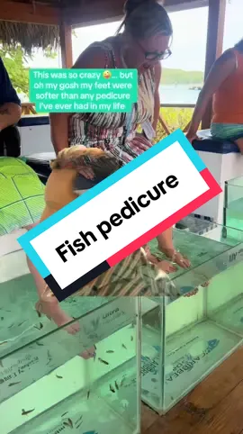 #CapCut.   This was the coolest most crazy thing I’ve tried to sit there and see all those baby fish eating at your dead skin cells. My feet had never been softer. It tickles a little  if you ever have a chance just try it !!!! ##fishpedicure🧜 ##piranhafish##ambercovedomincanrepublic##fypシ