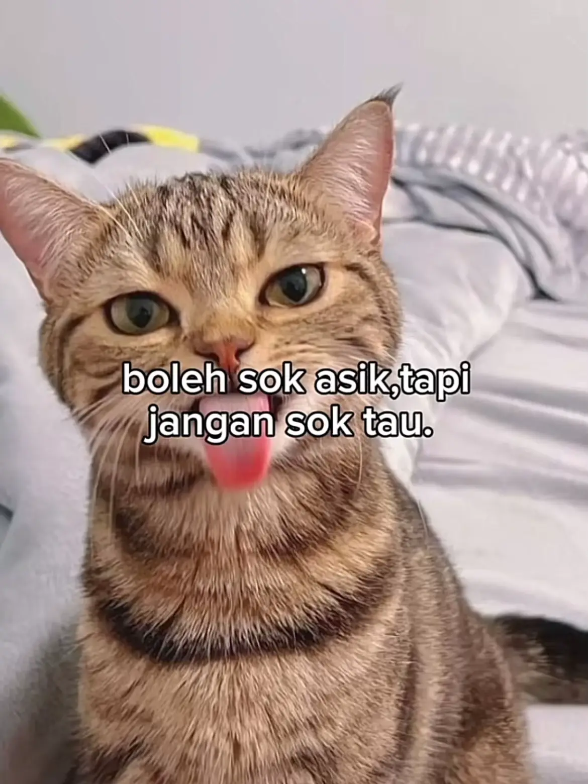 #story#telagawarna#fyp 