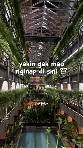 Prawirotaman lagi rame-ramenya tempat makan, jadi kalau kami punya rencana liburan ke jogja nginapnya disini aja. Namanya greenhostboutiquehotel, hotelnya nyaman banget,mengusung tema ecofriendly #nexentertainment #nexent #nexgreenhostboutiquehotel #jogjaistimewa #hoteljogja 