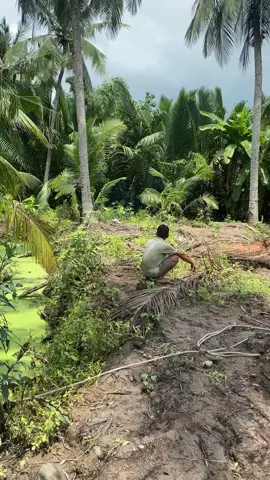 Tía tui đoá.. Tui làm dì củng ủng hộ không bao giờ cấm cản.. Bỏ việc làm công ăn lương tháng hơn 10chẹo để về làm chủ. Mà là chủ nhật😂😂..chỉ đạo móc ao,làm nền,đổ cột,lợp mái dì củng 1tay Tía tui làm hết💪💪💪