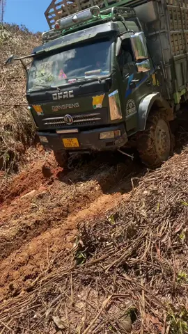 #xuhuongtiktok 