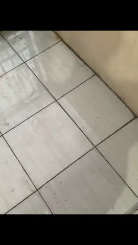 -                      #fyppppppppppppppppppppppp 