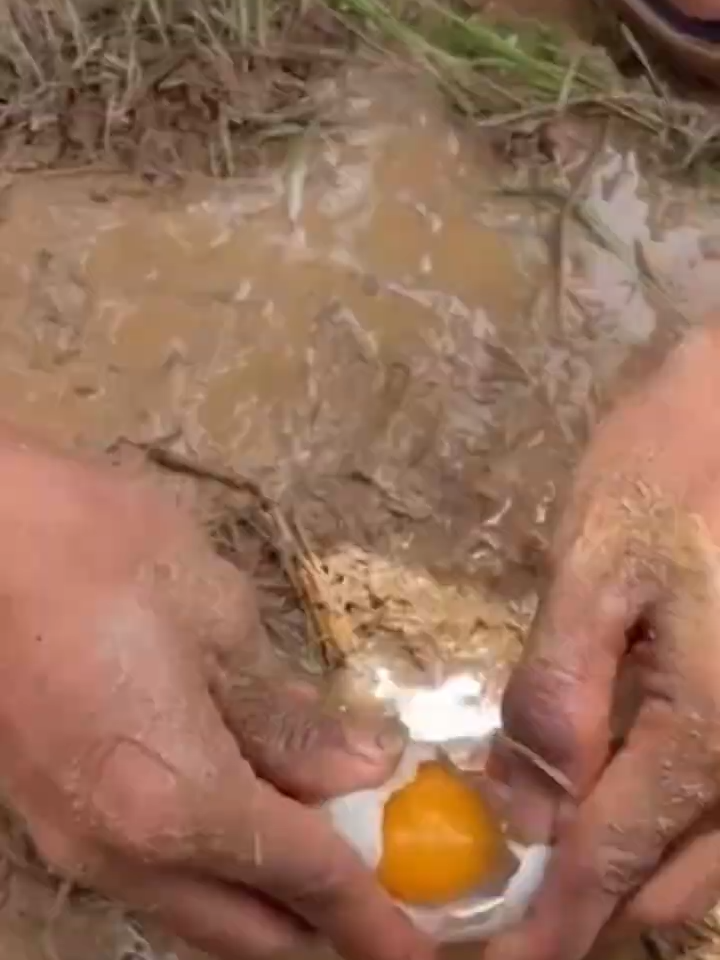 Survival Skills- SIMPLE ideas and USEFUL with FISH  Using EGG #outdoors #survival #camping (1)