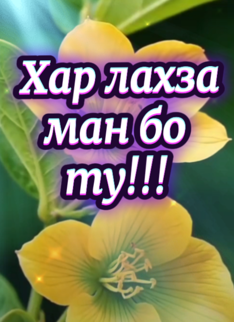#Love #loveyou #iloveyou #you #foryou #tajik #tajikistan #top #recommendation 