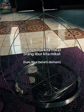#kandangsifu #kandangburungserindit #CapCut 