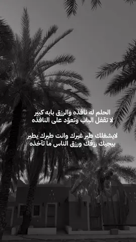 حلمي كبير ورغبتي كنها طير ما يطوي الجنحان لا شاف قمه #حلمي #الرزق #امثال #قصيدة_شعر_أبيات #اكسبلورfyp 