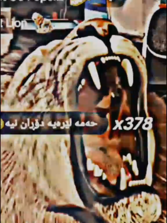@MASARE.MASOUD @masaremasoudd #masarexara #masaremasoud #foryou #fyp #الشعب_الصيني_ماله_حل😂😂 
