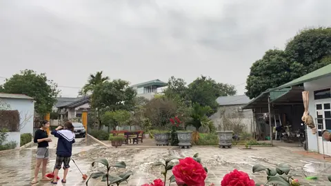 Dọn nhà gì chưa?🏡#tet2026🧧🧨🎆 #tếtổnrồi #nhà 