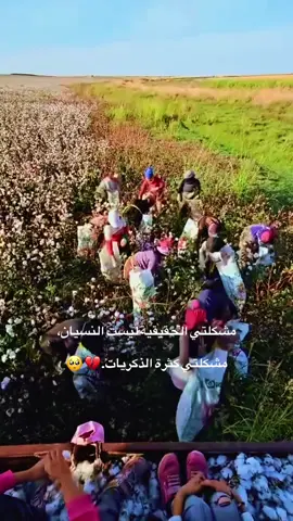 الكتابةُ تثيرُ في القلب كوامن العواصف و مكامن الذكريات ، و تُهيِّج علينا فظائع الوقائع#الرقة_مدينتي❤ #سوريا🇸🇾 