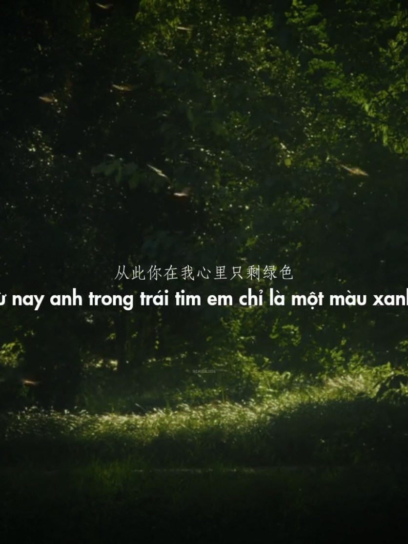 song: màu xanh #mauxanh #nhactrung #douyin #xuhuong #tnlcorner 