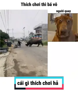 tê giác : bá vô #meme #funnyvideos #haihuoc #fyp #khanhhuy🎭 “⚠️ Video có ngôn từ mạnh, cân nhắc trước khi xem 😅”