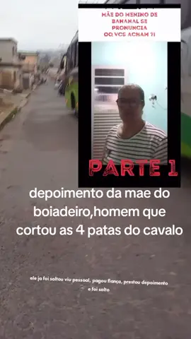 vcs concorda com este depoimento? e  o boiadeiro já foi solto