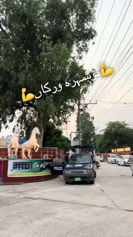 💪نوشہرہ ورکاں💪