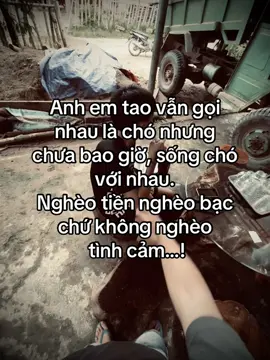 Ae mình cứ thế thôi hè hé he…! #thanhlam682007 #duet #viỉal 