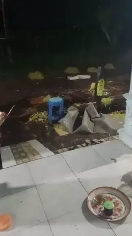 #nasib petani tembakau kalau hujan deras