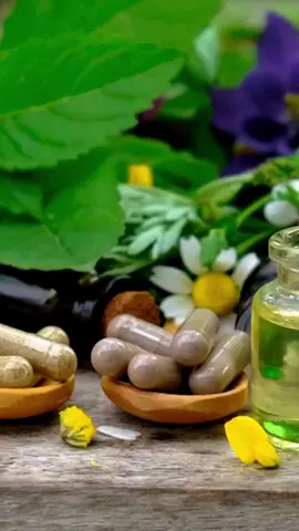 7 loại dược liệu quý trong vườn nhà nhà nào cũng quý #DượcSĩNgọcMinh #NhàThuốcĐạiMinh 