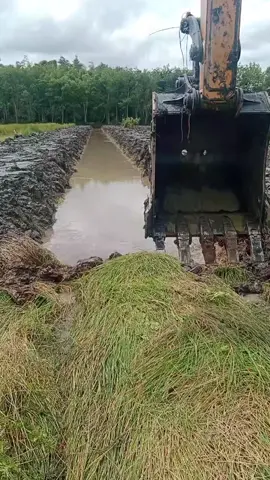 tapak timbun 1:1 #petani_sawit_kalimantan🌴 #tapak_timbun_kebun_sawit #excavator_sany_75c 