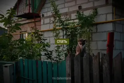 #дайтетанк #дайтеимтанк #сохранитькак #димамозжухинмойотец 