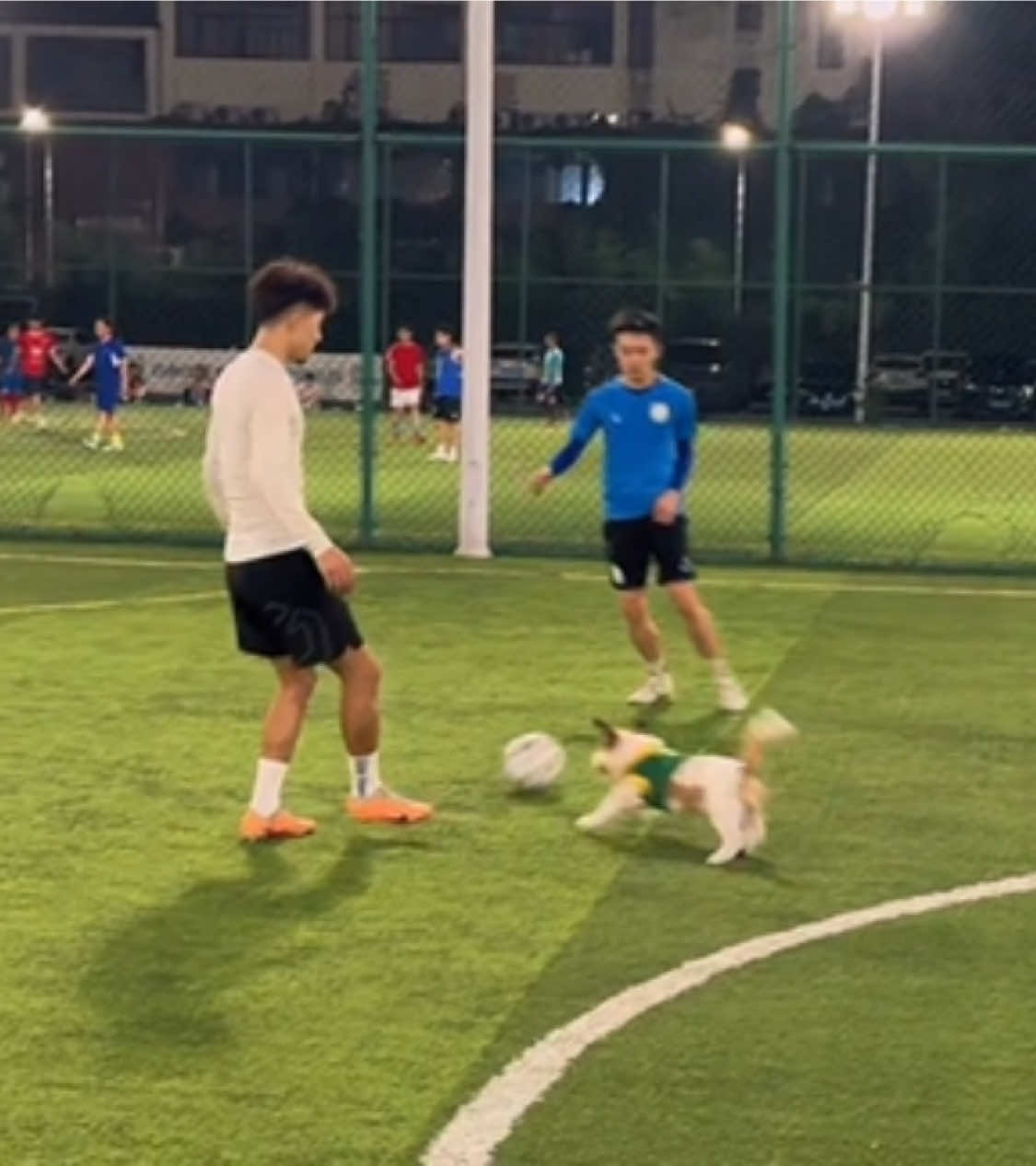 Nay có khách quý đến chơi 🤪 #ronaldo #niemvuimoingay #dabong #football #duhocsinh 