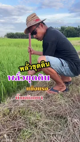 พลั่วขุดดินใช้ดีมีที่เหยียบ#ชาวนา #ชาวสวน #พลั่วเหล็ก #เสียมขุด #พลั่วขุดดิน 