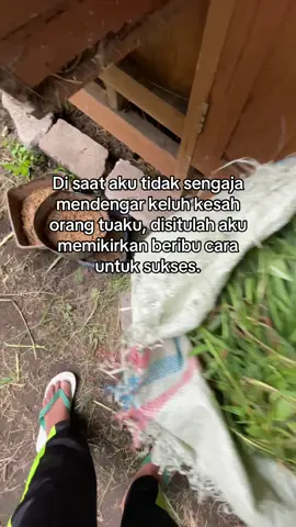 🤲🏼#fyppppppppppppppppppppppp #peternakmuda #sobatngaret 